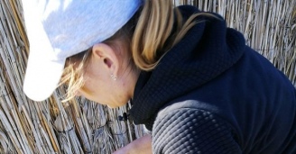 Фото Без труда не выловишь и рыбку из пруда №28